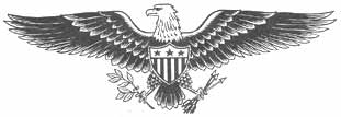 American symbol of eagle
