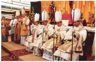 Newly consecrated bishops